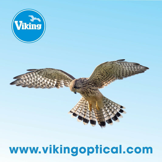 Viking Optics 'Kestrel' Micro Fibre Lens Cloth High Quality 24 x 24cm (UK)  BNIP