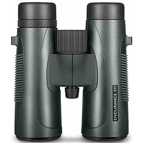 Hawke Endurance ED 8 x 42 Binocular - Green #36205 (UK Stock) BNIB  High Quality