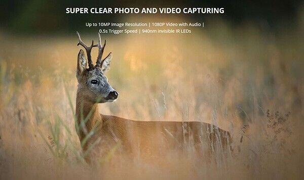 Wildlife Trail Nature Camera 4G enabled Cellular SMS 10 Meg Hik Micro M15   (UK)