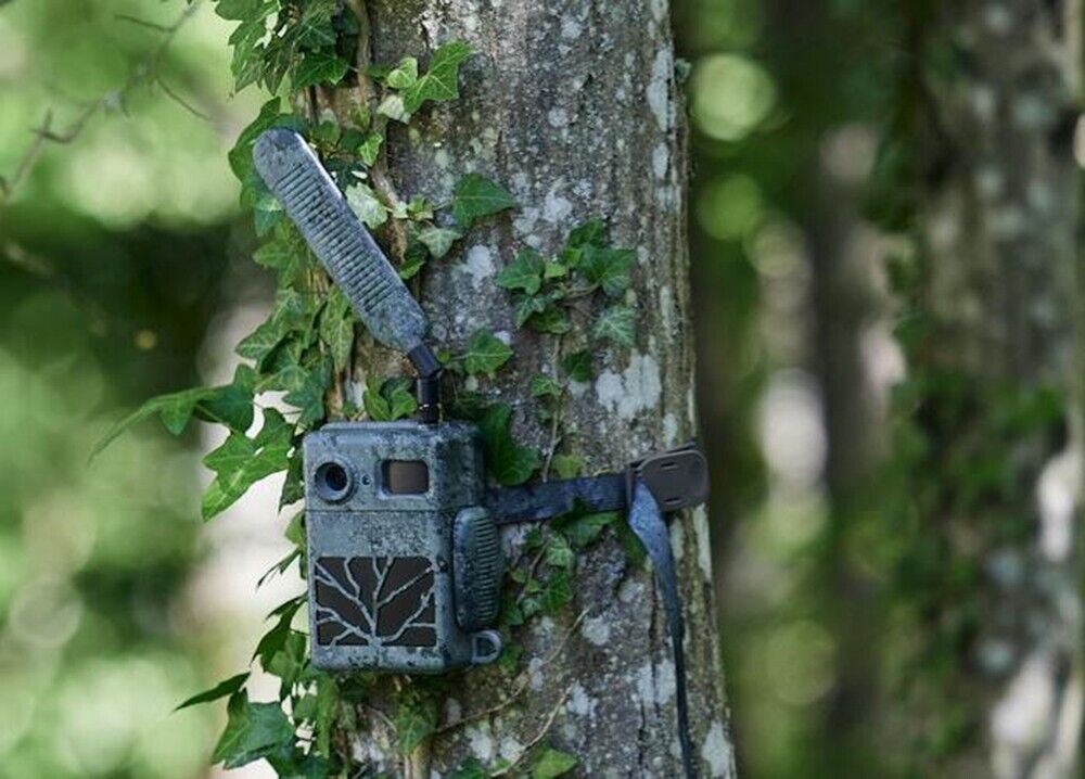 Zeiss Secacam 7 Cellular SMS Trail Nature Camera 12 Meg Remote area(UK Stock)NEW