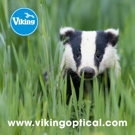 Viking Optics 'Badger' Micro Fibre Lens Cloth High Quality 24cm x 24cm (UK) BNIP