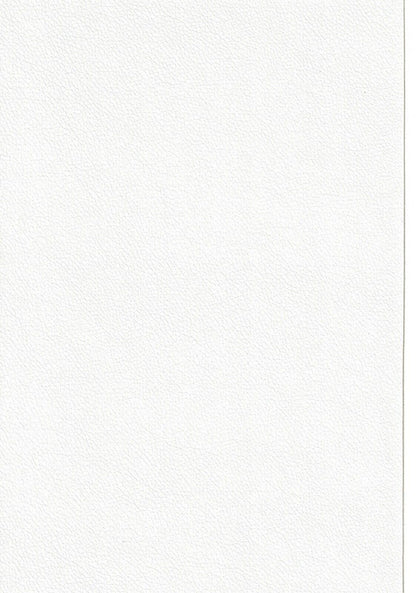 Pig Iron Self-Adhesive Camera Leatherette Sheet A4 30 x 20cm in IVORY (UK)  BNIP